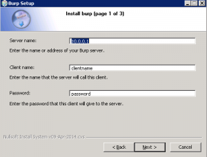 Burp - Install Windows Client - Step 01