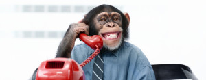 monkey-customer-service
